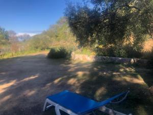 アレノにあるChambre d'Hotes Domainedilaliviの道の真ん中に座る青いピクニックテーブル