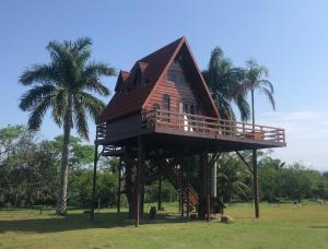 a tree house on top of two palm trees at Chalé Caiçara in Caraguatatuba