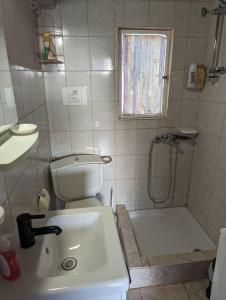 ein Bad mit einem WC, einem Waschbecken und einer Dusche in der Unterkunft Sunny Terrace in Glyfada in Athen