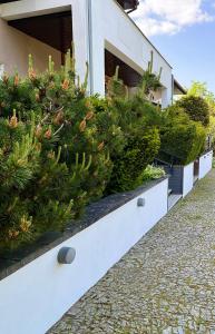 a row of christmas trees on the side of a building at Hotel Graffit in Świebodzin