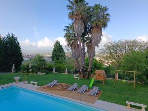 - une piscine avec des chaises et un palmier dans l'établissement Casa Grande, 