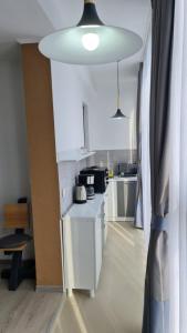 Kuchyň nebo kuchyňský kout v ubytování Pomiculturii Residence 5 + 9 fotografií
