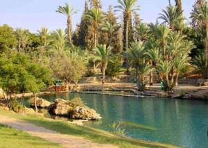 a pool of water in a park with palm trees at חדר סטודיו בסגנון נורדי in Sede Naẖum
