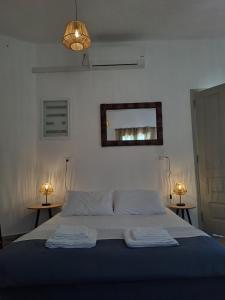 Poudas House في Cherronisos: غرفة نوم بسرير مع مصباحين ومرآة