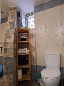 bagno con servizi igienici e mensola con asciugamani di Poudas House a Cherronisos