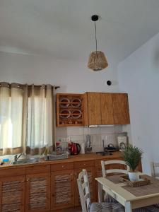 Kuchyň nebo kuchyňský kout v ubytování Poudas House