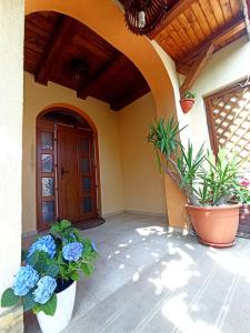a porch of a house with two potted plants at Pensiunea Roșu Litoral in Douăzeci şi Trei August