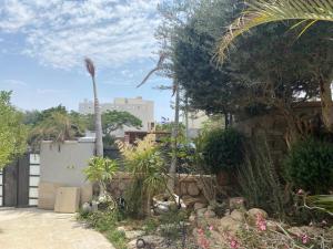 un jardin avec des palmiers et des plantes ainsi qu'un bâtiment dans l'établissement בוטיק צ'יל אאוט - Boutique Chill Out, à Eilat