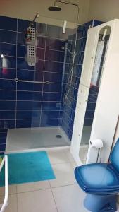 La salle de bains est pourvue d'une douche carrelée de bleu et de toilettes bleues. dans l'établissement appartement en rez de jardin CYCLISTES BIEN VENUS, à Prades