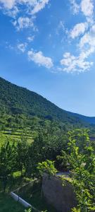 a view of a hill with trees and a blue sky at Vila Bartulović in Kučiće +67 photos
