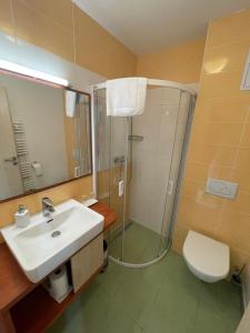 uma casa de banho com um chuveiro, um lavatório e um WC. em Penzion Proneco em Klentnice