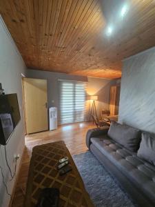 een woonkamer met een bank en een televisie bij Wild Beauty house Skadar lake in Cetinje