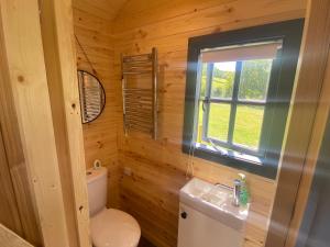 a small bathroom with a toilet and a window at Oakies Farm Stays in Llandovery