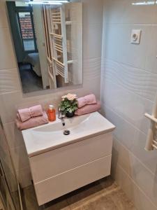 a bathroom with a sink with a mirror and pink towels at Appartement 2 pieces in Nice +48 photos