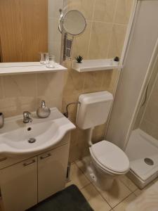 a bathroom with a toilet and a sink and a mirror at Viridis Piran in Piran