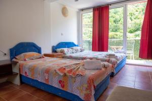 a bedroom with two beds and a window at Family Apartments Vukcevic in Čanj +66 photos