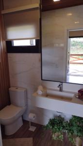 a bathroom with a sink and a toilet and a mirror at Casa em Bom Jardim da Serra in Bom Jardim da Serra
