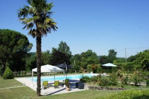 eine Palme und ein Pool mit Stühlen und Sonnenschirmen in der Unterkunft La Lauze in Vielmur
