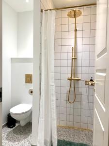 ein Bad mit einer Dusche und einem WC in der Unterkunft JANTZENs HOTEL in Gudhjem