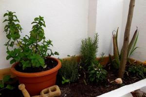Vonkajšia záhrada v ubytovaní Penthouse Terrace