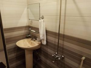 a small bathroom with a sink and a shower at Hotel Inn Karachi in Karachi