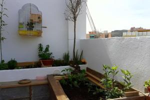 Balkón alebo terasa v ubytovaní Penthouse Terrace