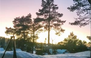 Gallery image of Gorgeous Home In Dølemo With Wifi in Dølemo +14 photos
