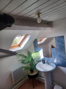 uma casa de banho com um lavatório e um vaso de plantas em Le Richelieu 3 chez Adrien em Saint-Quentin