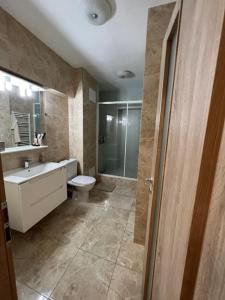 y baño con aseo, lavabo y ducha. en Apartament de Lux Splendid, en Iaşi