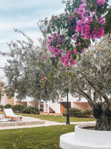 a tree with pink flowers in a park at Lindos Athena in Lindos