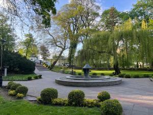 park z fontanną, drzewami i krzakami w obiekcie Sunflower Park Apartment w mieście Międzyzdroje