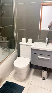 La salle de bains est pourvue de toilettes et d'un lavabo. dans l'établissement Flat 1, à Hendon