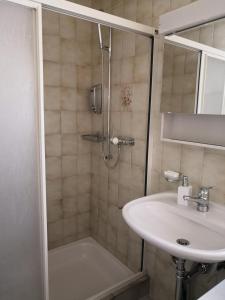 La salle de bains est pourvue d'une douche et d'un lavabo. dans l'établissement Apartment am Birkenweg, 