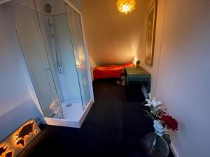 a bathroom with a shower and a bed in a room at Huisje Vivaldi in Den Bosch