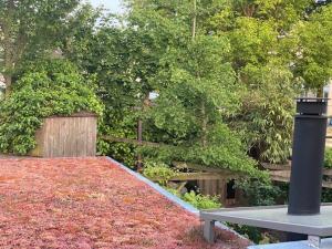 a bench in a garden with leaves on the ground at Huisje Vivaldi in Den Bosch