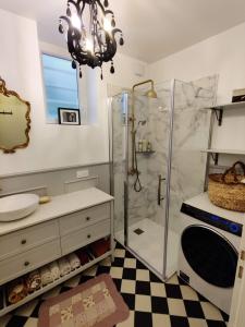 uma casa de banho com um chuveiro e um lavatório. em Cozy apartment with a garden view in the 17th quartier em Paris