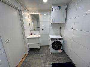 un piccolo bagno con lavatrice e lavandino di Lofoten Studio Apartment, Vestermyrveien 11 Svolvær a Svolvær