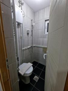Vila Vlasina في فالسينا ريد: حمام صغير مع مرحاض ودش