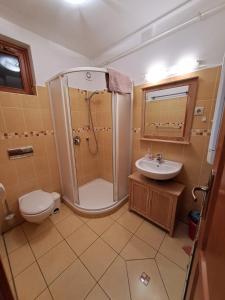 a bathroom with a shower and a toilet and a sink at Rozmaring Apartmanok in Gyula
