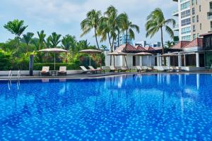 シンガポールにあるSheraton Towers Singapore Hotelのヤシの木と椅子が備わる大型スイミングプール