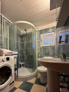La salle de bains est pourvue d'un lavabo et d'un lave-linge. dans l'établissement Holiday House Tara, à Kolašin