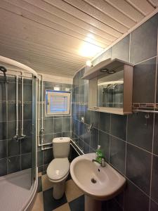 La salle de bains est pourvue de toilettes et d'un lavabo. dans l'établissement Holiday House Tara, à Kolašin