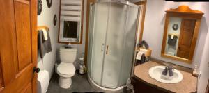 a bathroom with a toilet and a shower and a sink at Chalets Garou in St-Ferdinand