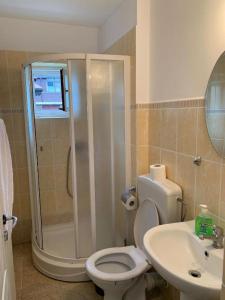 a bathroom with a shower and a toilet and a sink at Constantinescu A in Buşteni