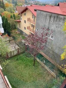 an aerial view of a house and a tree at Constantinescu A in Buşteni