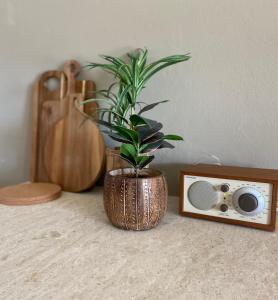 a plant in a vase sitting next to a speaker at Baia Dorata beach apartments in Porto Istana