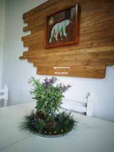 Fotografie z fotogalerie ubytování Apartmani ZELENI MEDA v destinaci Mitrovac
