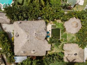 Zahrada ubytování Casa Picaflor