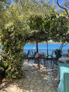 a patio with tables and chairs and a tree at Apartments Vila Miranda in Barbat na Rabu