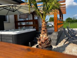 a palm tree sitting next to a hot tub at Dunavölgyi Vendégház Akasztó in Akasztó